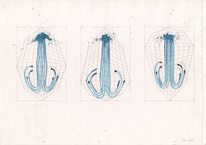 1991 29,6 x 41,9 cm 25 pages  75 drawings