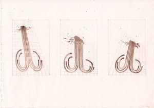 1991 29,6 x 41,9 cm 25 pages  75 drawings