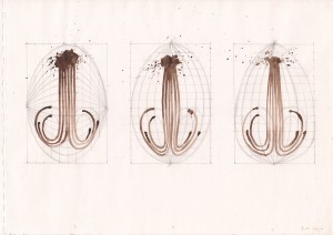 1991 29,6 x 41,9 cm 25 pages  75 drawings