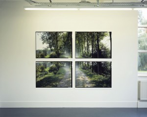 'Wonder (1-4)', 2002-2003. Elk deel 4 prints van 89 x 119 cm. Totaal 180 x 243 cm.