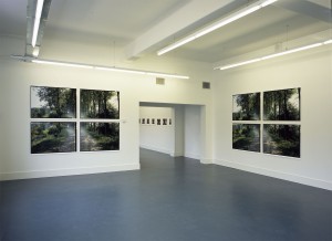 'Wonder (1-4)', 2002-2003. Elk deel 4 prints van 89 x 119 cm. Totaal 180 x 243 cm.