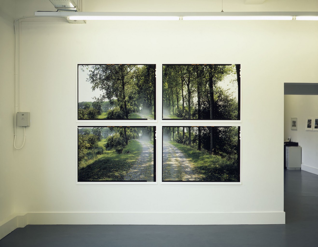 'Wonder (1-4)', 2002-2003. Elk deel 4 prints van 89 x 119 cm. Totaal 180 x 243 cm.