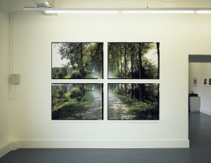 'Wonder (1-4)', 2002-2003. Elk deel 4 prints van 89 x 119 cm. Totaal 180 x 243 cm.