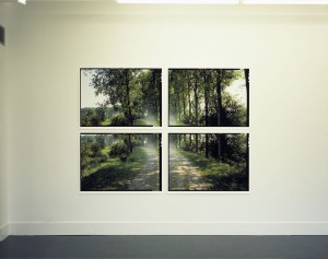 'Wonder (1-4)', 2002-2003. Elk deel 4 prints van 89 x 119 cm. Totaal 180 x 243 cm.